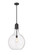Auralume One Light Pendant in Matte Black (405|4921SBKG58216)