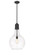 Auralume One Light Pendant in Matte Black (405|4921SBKG58214)