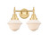 Caden Two Light Bath Vanity in Satin Gold (405|4472WSGG531)