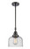 Caden One Light Mini Pendant in Matte Black (405|4471SBKG74)