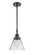 Caden One Light Mini Pendant in Matte Black (405|4471SBKG42)