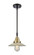 Caden One Light Mini Pendant in Black Antique Brass (405|4471SBABG2)