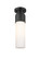 Downtown Urban One Light Semi-Flush Mount in Matte Black (405|4281FBKG42812WH)