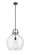 Downtown Urban One Light Pendant in Matte Black (405|4101SBK16CL)