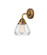 Nouveau 2 LED Wall Sconce in Brushed Brass (405|2881WBBG172LED)