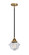 Nouveau 2 One Light Mini Pendant in Black Antique Brass (405|2881SBABG532)