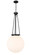 Essex One Light Pendant in Matte Black (405|2211PBKG20118)