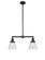 Franklin Restoration Two Light Island Pendant in Matte Black (405|209BKG64)