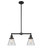 Franklin Restoration Two Light Island Pendant in Matte Black (405|209BKG62)