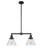 Franklin Restoration Two Light Island Pendant in Matte Black (405|209BKG44)