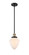 Franklin Restoration LED Mini Pendant in Black Antique Brass (405|201SBABG6617LED)