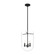 Sacha Three Light Pendant in Natural Black Iron (47|19318)