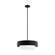 Station Three Light Pendant in Natural Black Iron (47|19273)