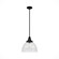 Cypress Grove One Light Pendant in Natural Black Iron (47|19249)