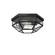Indria Two Light Flush Mount in Rustic Iron (47|19115)