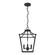 Laurel Ridge Four Light Pendant in Natural Black Iron (47|19065)