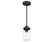 Devon Park One Light Pendant in Onyx Bengal (47|19008)