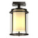 Meridian One Light Outdoor Semi-Flush Mount in Coastal Oil Rubbed Bronze (39|365605SKT14ZS0297)