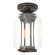 Fairwinds One Light Outdoor Semi-Flush Mount in Coastal Oil Rubbed Bronze (39|352551SKT14ZM0723)