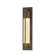 Axis One Light Outdoor Wall Sconce in Coastal Bronze (39|306403SKT75ZM0332)