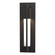 Axis One Light Outdoor Wall Sconce in Coastal Bronze (39|306401SKT75ZM0331)