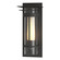 Torch One Light Outdoor Wall Sconce in Coastal Natural Iron (39|305996SKT20ZS0654)