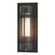 Torch One Light Outdoor Wall Sconce in Coastal Natural Iron (39|305896SKT20ZS0654)
