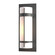 Banded One Light Outdoor Wall Sconce in Coastal Bronze (39|305894SKT75GG0037)