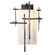 Tura One Light Outdoor Wall Sconce in Coastal Burnished Steel (39|302583SKT78GG0707)