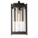 Cela One Light Outdoor Wall Sconce in Coastal Black (39|302021SKT80GG0730)