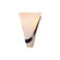 Half Cone Two Light Wall Sconce in Ink (39|206563SKTRGT89GG0074)