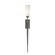 Sweeping Taper One Light Wall Sconce in Natural Iron (39|204529SKT20GG0350) Sweeping Taper One Light Wall Sconce in Natural Iron (39|204529SKT20GG0350)