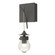 Kiwi One Light Wall Sconce in Natural Iron (39|203325SKT20ZM0565)
