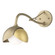 Brooklyn Brooklyn 1-Light Double Shade Long-Arm Sconce in Soft Gold (39|201377SKT8486GG0711)
