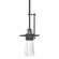 Erlenmeyer One Light Mini Pendant in Natural Iron (39|187150SKTMULT20ZM0349)