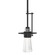 Erlenmeyer One Light Mini Pendant in Black (39|187150SKTMULT10ZM0349)