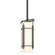 Paralline One Light Mini Pendant in Dark Smoke (39|183550SKTMULT07GG0118)