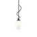 Flora One Light Mini Pendant in Natural Iron (39|183030SKTMULT20GG0303)