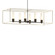 Portico Six Light Pendant in Oil Rubbed Bronze (39|138940SKTMULT1486GG0392)
