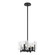 Arc Arc 4-Light Semi-Flush/Pendant in Black (39|131060SKTMULT10YR0719)