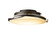 Flora LED Semi-Flush Mount in Natural Iron (39|126742LED20GG0437)