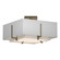 Exos Two Light Semi-Flush Mount in Soft Gold (39|126507SKT84SF1205SF1605)