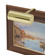 Classic Contemporary One Light Picture Light in Polished Brass (30|C561)