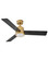 Chet 48''Ceiling Fan in Heritage Brass (13|905248FHBLWA)