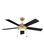 Croft 52''Ceiling Fan in Heritage Brass (13|904052FHBLIA)