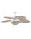 Tropic Air 52''Ceiling Fan in Matte White (13|901952FMWNWD)