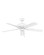 Oasis 52''Ceiling Fan in Appliance White (13|901652FAWNWA)