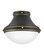 Oliver LED Flush Mount in Black (13|39051BK)