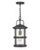 Lakehouse LED Hanging Lantern in Black (13|2682BK)