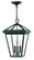 Alford Place LED Hanging Lantern in Museum Black (13|2562MB)